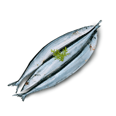 海鮮蝦貝